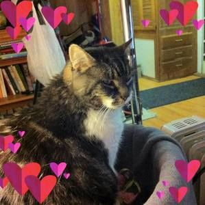 Meet your Posher, Margaret